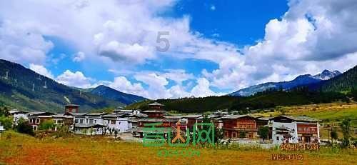 （乡村行·看振兴）山西襄垣：特色产业助力县域乡村振兴“大步走”
